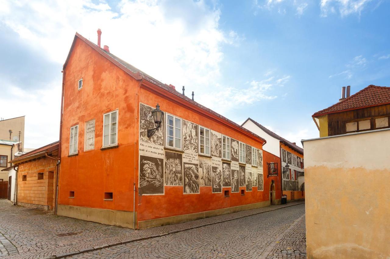 Pension Paseka Litomyšl Exterior foto