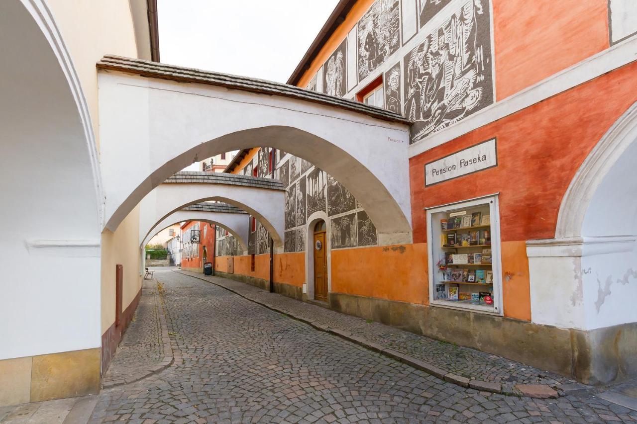 Pension Paseka Litomyšl Exterior foto